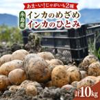 糸島育ちのジャガイモ 食べ比べ インカのめざめ