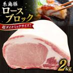 糸島豚 ロース ブロック肉 2kg