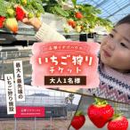 いちご狩りチケット 大人1名様分 株式会社
