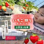 いちご狩りチケット 小学生1名様分 株式会社