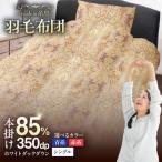 柄おまかせダウン85%