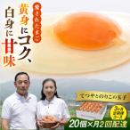 てつやとのりこの玉子 板垣ファーム 卵 たまご