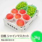 ふるさと納税 大石田町 もも 白桃 秀品 & シャインマスカット 約3kg 詰め合わせ 2025年産 令和7年産