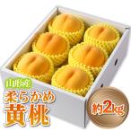 ふるさと納税 山形市 山形産 柔らかめ 「黄桃」 秀品 約2kg (5玉〜8玉)【令和7年産】 FS24-082