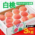 ふるさと納税 山形市 [ご家庭用] 白桃 〇秀品 3kg [やわらかくなる桃] 9月お届け 【令和8年産】FS23-827