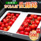 ふるさと納税 山形市 山形県産 さくらんぼ「佐藤錦」500g 特秀品 Lサイズ以上 【令和7年産】FS24-805