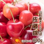 ふるさと納税 山形市 さくらんぼ 佐藤錦 Lサイズ 800g(200g×4パック) 【令和7年産】FS24-610
