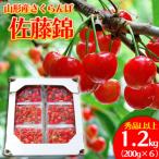 ふるさと納税 山形市 山形のさくらんぼ 佐藤錦 1.2kg(200g×6) Lサイズ以上 【令和7年産】FS24-550
