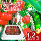 ふるさと納税 山形市 山形産 さくらんぼ 佐藤錦 L 1.2kg(200g×6パック) 【令和7年産】FS24-505