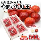 ふるさと納税 山形市 さくらんぼ やまがた紅王 約800g(200g×4) 2Lサイズ以上 【令和7年産】FS24-562
