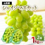 ショッピングふるさと納税 シャインマスカット ふるさと納税 山形市 シャインマスカット 1kg以上(2房)[9月中旬〜10月中旬発送] 【令和8年産】FS24-575