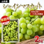ショッピングふるさと納税 シャインマスカット ふるさと納税 山形市 【ご家庭用】シャインマスカット 2kg入り 1箱 [後半] 【令和8年産】FU21-632