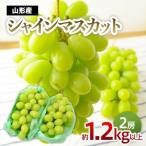 山形のぶどう シャインマスカット 1.2kg以上