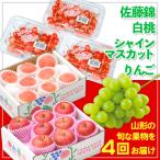ふるさと納税 山形市 【定期便4回】☆フルーツ王国山形☆佐藤錦・白桃・シャイン・りんご 【令和7年産】FS24-770