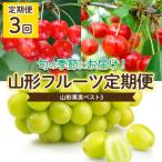 ふるさと納税 山形市 【定期便3回】山形果実ベスト3 【令和7年産】FU22-071
