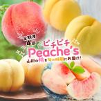 ふるさと納税 山形市 【定期便4回】ピチピチPeache's 【令和7年産】FS24-742