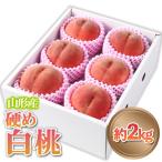 fu.... налог Yamagata город Yamagata производство ..[ белый персик ] превосходящий товар примерно 2kg (5 шар ~8 шар )[. мир 8 год производство ] FS24-083