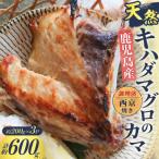 鹿児島産 天然 キハダマグロのカマ約200g×3P