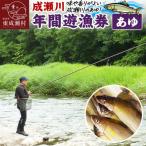 成瀬川 年間遊漁券 あゆ 07_ngk-020101