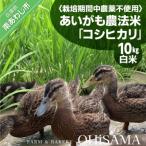 令和6年産 コシヒカリ 10Kg