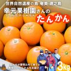幸元 さちもと 果樹園さんのこだわりのたんかん 3kg
