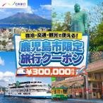 日本旅行 地域 旅行クーポン 300,000円分