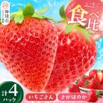 苺 さがほのか いちごさん 各2パック