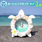 オーシャンクロック カメ