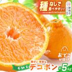 不知火 デコポン 約5kg