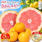 さがんルビー 5kg