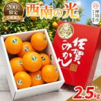 西南の光 2.5kg