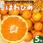 はれひめ 5kg