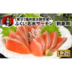 ふくい名水サーモン 1尾