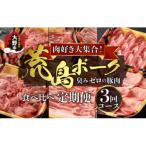 ふるさと納税 大野市 【肉の定期便×3回コース】肉好き大集合!臭みゼロの豚肉「荒島ポーク」食べ比べ 定期便!