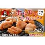 越前大野名物 大美のとんちゃん ホルモン