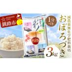 令和7年度産 新米 減農薬9割減 化学肥料不使用おぼろづき 3…