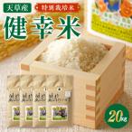 特別栽培米 健幸米20kg 5kg×4袋