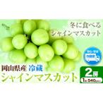 冷蔵シャインマスカット H-28b 1房540g以上2房入り