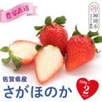 さがほのか220g×2パック H117101