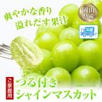 産シャインマスカット 晴王 自家用つる付き1房530g以上