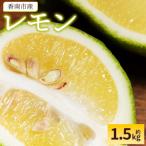 レモン 1.5kg