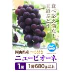 ニューピオーネ 1房680g以上 1房入り