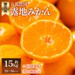 露地みかん 2S~Mサイズ 15kg
