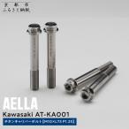 Kawasaki チタンキャリパーボルトAT-KA001