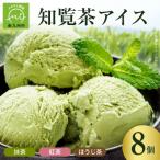 ふるさと納税 南九州市 知覧茶アイス8個セット