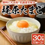 fu.... налог .. город .. Tama .( итого 30 шт *10 шт ×3P)[108800100][kajiwala ферма ]