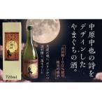D657 月夜の浜辺 純米吟醸酒