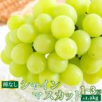 <2026年8月下旬~ >