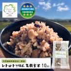 レトルトごはん 五穀玄米 10パックセット