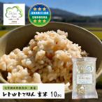 レトルトごはん 玄米 10パックセット 化学調味料無添加